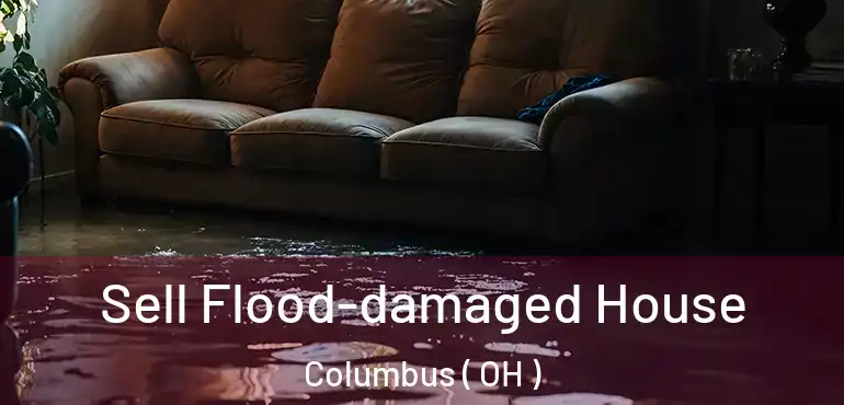  Sell Flood-damaged House Columbus ( OH )