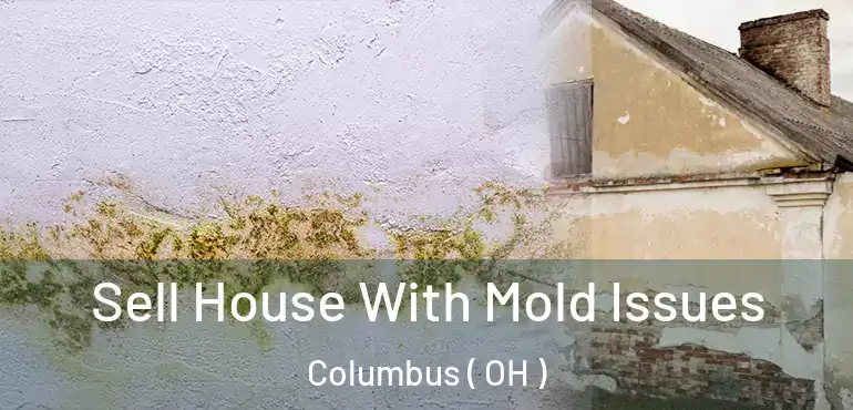  Sell House With Mold Issues Columbus ( OH )